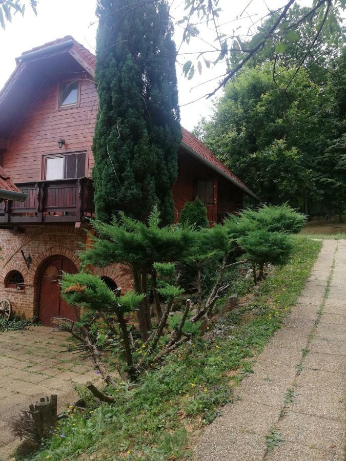 Mohas Vendeghaz Koszeg Mohas Ut 107 Hotel Exterior foto